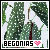 Begonias