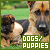 Dogs