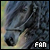 Friesian horses