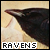 Ravens