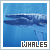 Whales